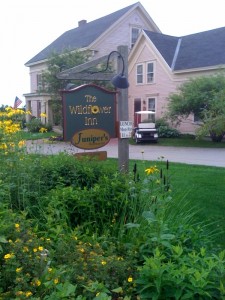 Wildflower Sign Wildflower Sign