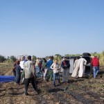 Scene after our crash landing in a sugar cane field
