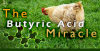 Butyric-Acid-header