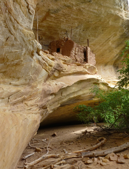 anasazi dwelling