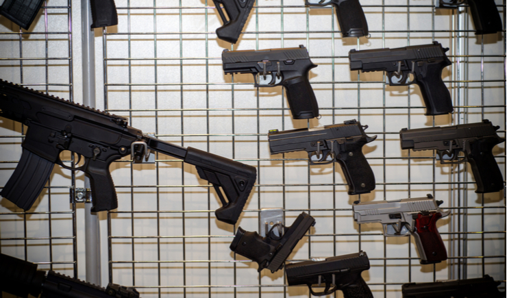 The Armed American Family, Part VI