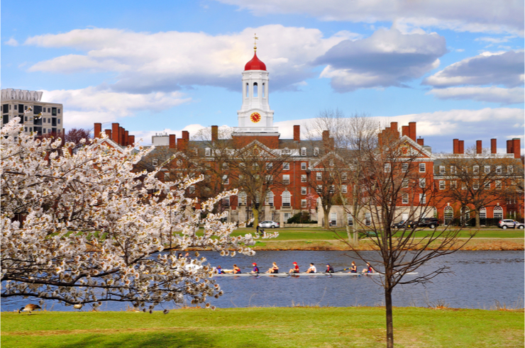 Harvard in the spring