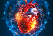 Can You Address the Root Causes of Heart Disease?