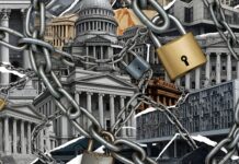 More Government than Needed