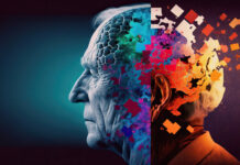 New Study Sheds Light on Calcium’s Effects on the Brain