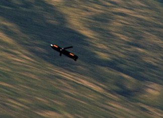 Anduril to Mass Produce Barracuda-500 Under New US Defense Deal