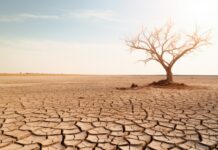 Unfertile Ground